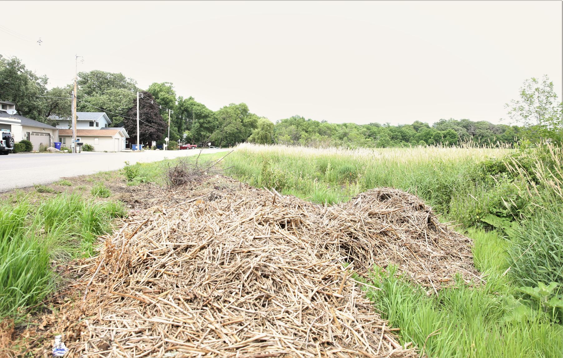 Clear Lake waste- Pile